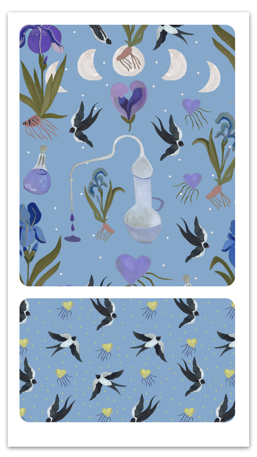 iris